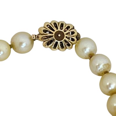 Lot 52 - A Uniform Sized Cultured Pearl Necklace